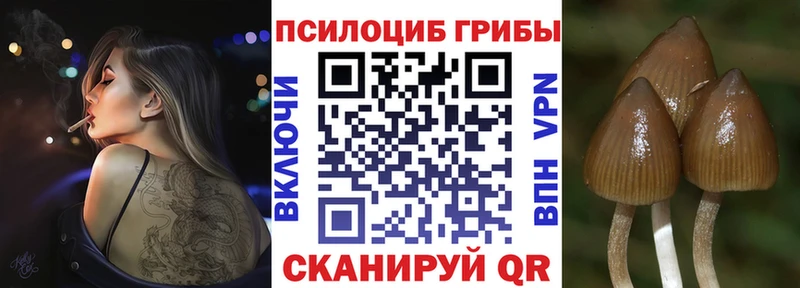 Галлюциногенные грибы прущие грибы  Купить  Сосновка 