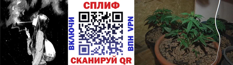 Бошки марихуана ГИДРОПОН  Купить  Сосновка 